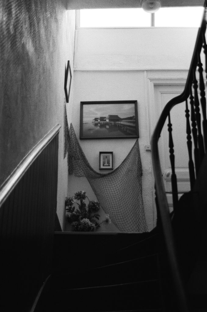 Monochrome image of a decorated stairwell with paintings and netting.